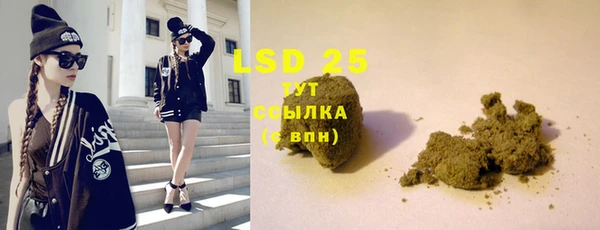 PSILOCYBIN Аркадак