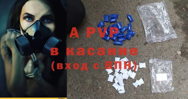 PSILOCYBIN Аркадак