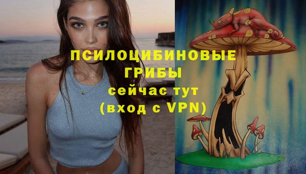PSILOCYBIN Аркадак