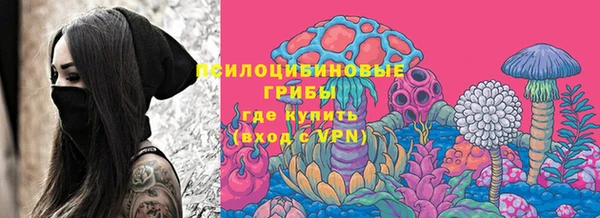 PSILOCYBIN Аркадак