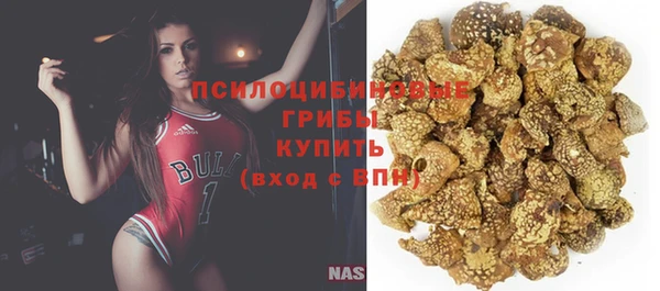 PSILOCYBIN Аркадак